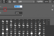 Photoshop怎么调整画笔大小?Photoshop调整画笔大小方法