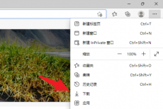 Edge浏览器下载文件在哪里？Edge浏览器下载文件查看方法