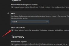 Vscode怎么隐藏发行说明? Vscode隐藏发行说明教程