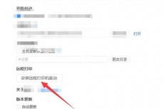 ToDesk怎么远程打印文件？ToDesk远程打印文件教程
