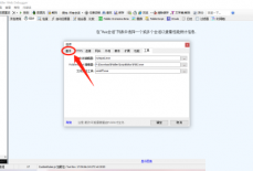 fiddler怎么启用IPV6?fiddler启用IPV6方法