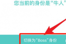 BOSS直聘怎么切换boss身份？BOSS直聘切换boss身份的方法