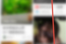 美篇怎么查看美篇花瓣数量？美篇查看美篇花瓣数量教程
