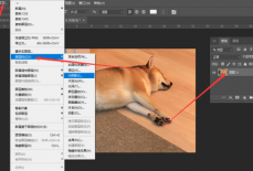 Photoshop图层样式在哪里?Photoshop图层样式查看方法