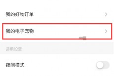 soul电子宠物怎么进入?soul电子宠物进入教程