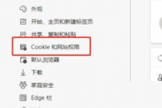 microsoft edge怎么查看Cookie数据？microsoft edge查看Cookie数据教程