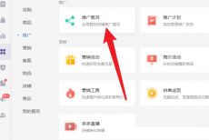 拼多多商家版怎么查看推广概况？拼多多商家版查看推广概况教程