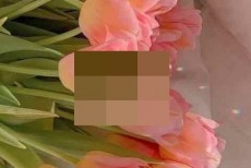 绿洲动态怎么置顶?绿洲动态置顶方法