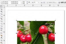 coreldraw位平面效果怎么做?coreldraw位平面效果制作方法