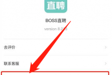 boss直聘怎么看收费标准？boss直聘看收费标准的方法