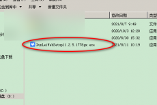 迅雷11怎么使用磁力链接？迅雷11使用磁力链接教程