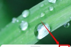 腾讯会议二维码在哪里?腾讯会议二维码查看方法
