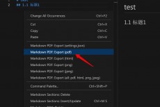 Vscode插件Markdown PDF转换错误怎么办?Vscode插件Markdown PDF转换错误解决方法