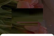 绿洲动态怎么置顶?绿洲动态置顶方法