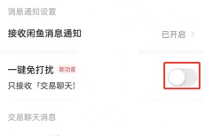 闲鱼一键免打扰怎么设置?闲鱼一键免打扰设置方法
