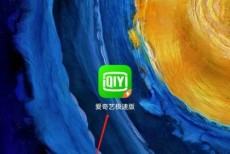 爱奇艺极速版怎么关闭应用数字提醒?爱奇艺极速版关闭应用数字提醒教程