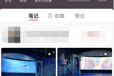 小红书怎么添加陌生人?小红书添加陌生人方法