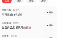 网易云音乐歌词押韵助手在哪?网易云音乐歌词押韵助手查看方法