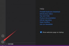 Vscode怎么关闭空窗?Vscode关闭空窗教程