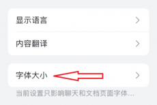 飞书字体大小怎么设置？飞书字体大小设置教程