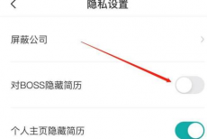BOSS直聘怎样对BOSS公开简历？BOSS直聘对BOSS公开简历的方法