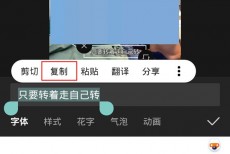剪映怎么导出识别字幕？剪映导出识别字幕方法