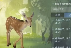 逆水寒手游动物如何提升好感度？-逆水寒手游动物提升好感度详细介绍