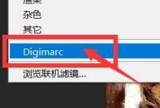 Photoshop怎么读取水印?Photoshop读取水印教程