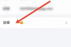 QQ身份证勋章怎么查看?QQ身份证勋章查看方法