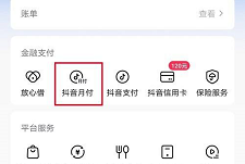 抖音怎么查询抖音月付额度？抖音查询抖音月付额度的步骤