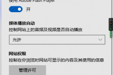 microsoft edge高级页面怎么打开?microsoft edge高级页面打开方法