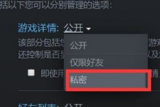 steam怎么隐藏个人游戏动态？steam隐藏个人游戏动态方法