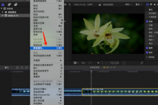 Final Cut怎么删除视频已经使用的效果?Final Cut删除视频已经使用的效果教程