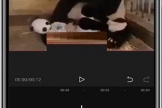 剪映怎么复制片段?剪映复制片段教程