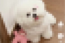 哔哩哔哩短视频怎么开启字幕？哔哩哔哩短视频开启字幕方法
