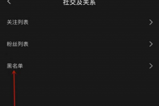 剪映黑名单怎么查看?剪映黑名单查看教程
